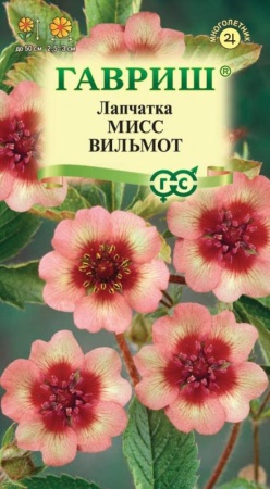 7d524e3b-dcea-11dd-9138-00500454e615-1