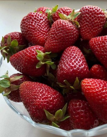 63a23068-009b-11f0-8915-246e9611e8f5-1