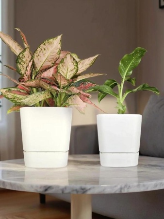 fd1cdd3a-da7e-11f0-891e-246e9611e8f6-1