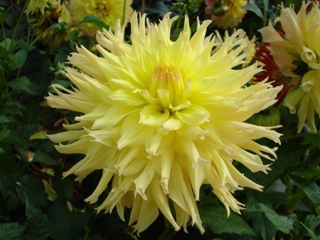 08fa3ac2-2ec7-11e0-9fb4-00500454e615-1