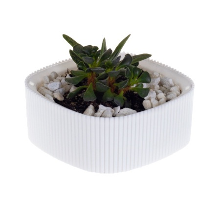 594ac362-595c-11ef-8910-246e9611e8f6-1