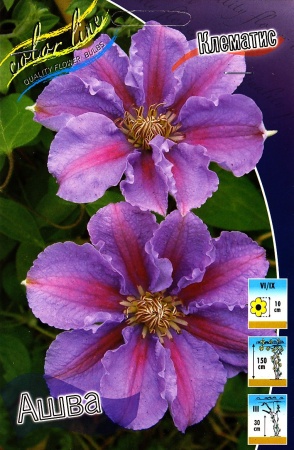 6b950117-2ce2-11df-a2b0-00235435134b-1