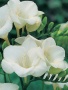 75a6ec32-88a5-11e2-8ea8-00500454e615-1
