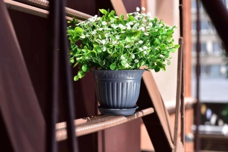 f82b4433-580e-11ed-aea3-001e673ebdea-1