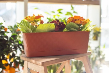 89b6b4cf-a6c0-11ed-8508-001e673ebdea-1