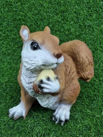 48ab9c5b-1144-11f0-8918-246e9611e8f6-1