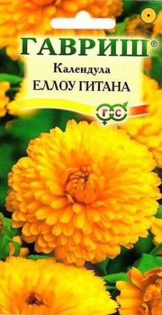 7757a88b-dcea-11dd-9138-00500454e615-2