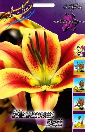 1cf32181-67a9-11ed-bd4c-001e673ebdea-1