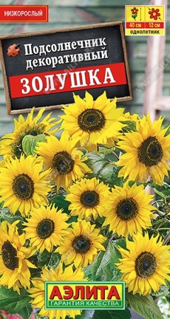 b3d5bcea-ccc6-11e5-91cd-001e673ebdea-1