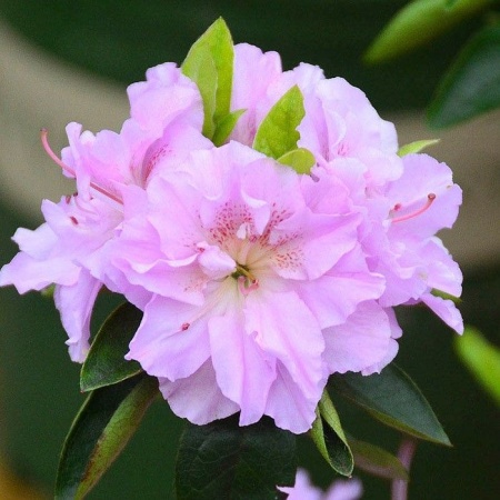 df460eea-ceb1-11f0-891e-246e9611e8f6-1