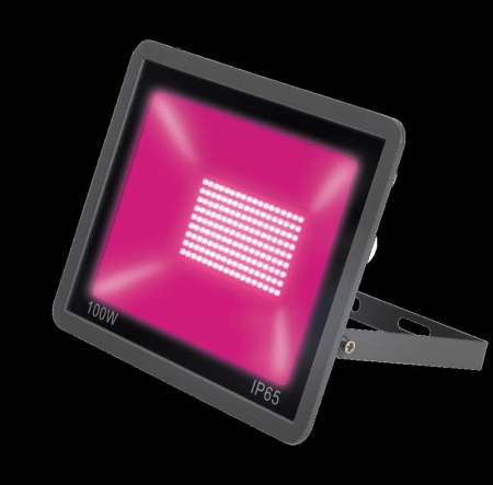 888db368-c261-11ed-ae56-001e673ebdea-1