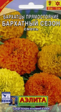 6a97b4cc-dcea-11dd-9138-00500454e615-2