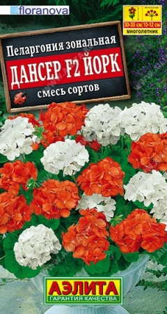 08306350-f80a-11ea-b984-005056c00008-2