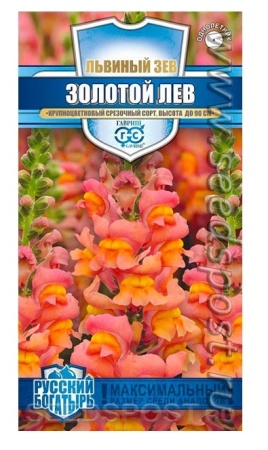 ac56e234-b0db-11e8-b1f5-005056c00008-2