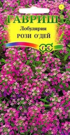 834cf1e7-dcea-11dd-9138-00500454e615-2