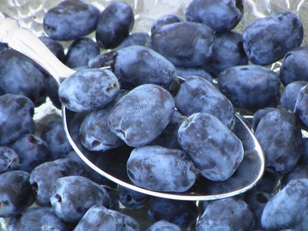 009afe3a-b8c1-11f0-891d-246e9611e8f7-1