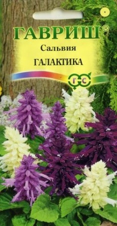 38e29518-419f-11e0-a4e9-00500454e615-1