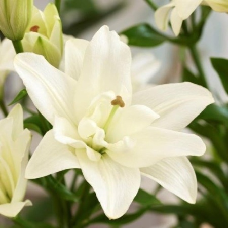 d0998f6e-b389-11ee-8bd7-001e673ebdea-1