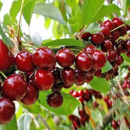 e6e4d777-503d-11f1-892a-246e9611e8f6-1