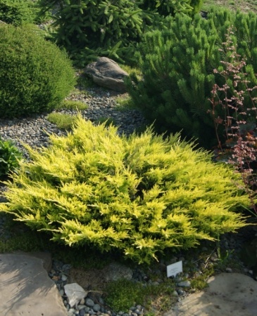 c4fac91a-dcef-11ed-97e3-001e673ebdea-1