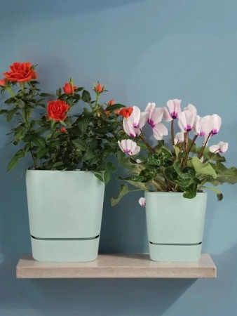 095389cc-da7c-11f0-891e-246e9611e8f6-1