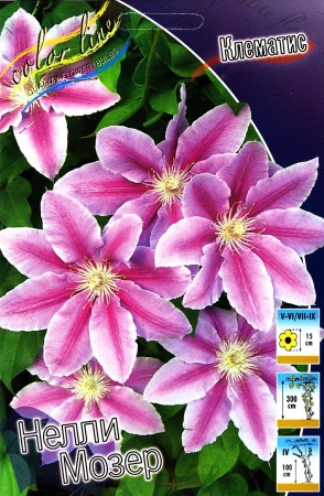 7c4ef25e-2cf5-11df-a2b0-00235435134b-1