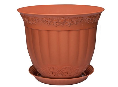 da778c26-e5d8-11ee-890a-246e9611e8f5-1