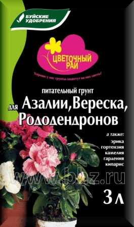 3dd95e49-d7c3-11ea-86cc-005056c00008-1