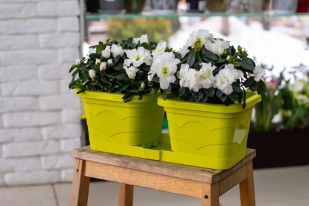 c5f255d6-5917-11ed-aea3-001e673ebdea-1