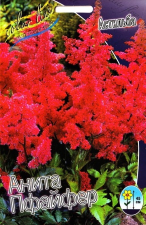 331fa48e-3654-11df-a2c0-00235435134b-1