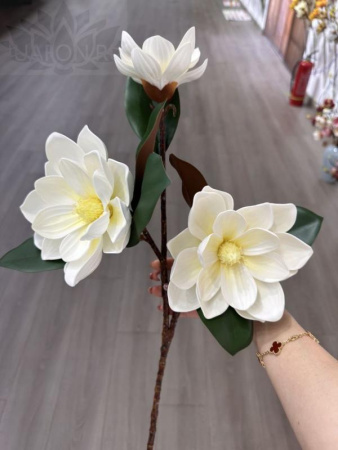 ebc96f24-5a61-11f0-891b-246e9611e8f7-1