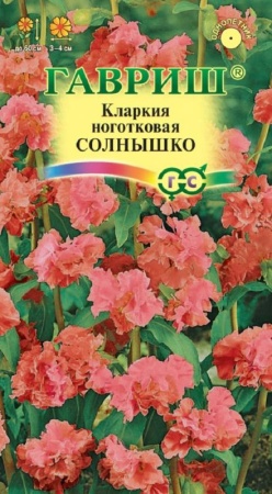 7d524c53-dcea-11dd-9138-00500454e615-1