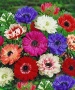 b576a1b8-5bb3-11ef-8910-246e9611e8f6-1