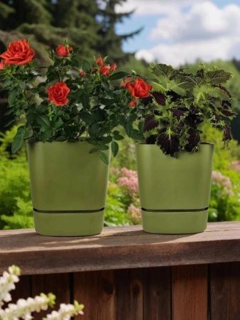 c0d53a5a-da79-11f0-891e-246e9611e8f6-1