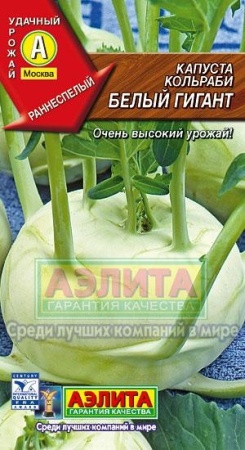 d5a3dc12-7545-11e0-bd6a-00500454e615-1