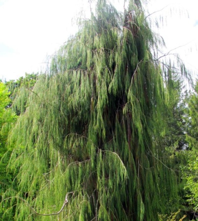 aba160b9-43c6-11e8-8910-005056c00008-1