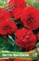 fc701a1a-b449-11ee-8bd7-001e673ebdea-1