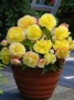 a79f7651-b448-11ee-8bd7-001e673ebdea-1