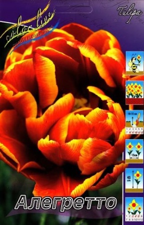 82f2997f-4da1-11f0-891a-246e9611e8f6-1
