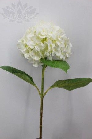 531d2480-5a6d-11f0-891b-246e9611e8f7-1