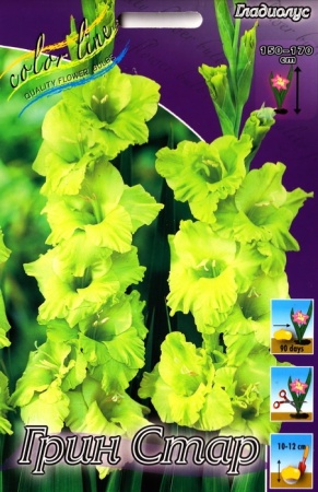 53530d3b-47e8-11ea-96d1-005056c00008-1