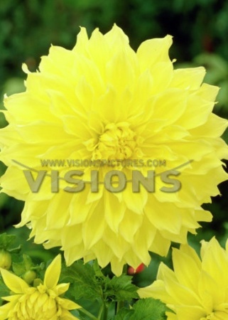 87958948-cd79-11e5-91cd-001e673ebdea-1