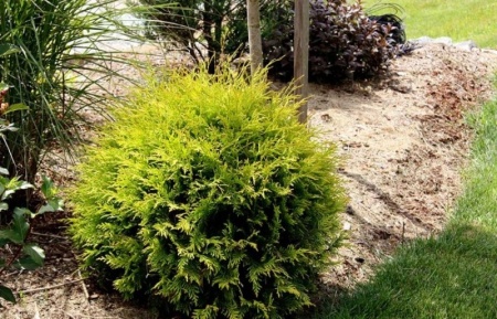 6189a982-dcd9-11ed-97e3-001e673ebdea-1