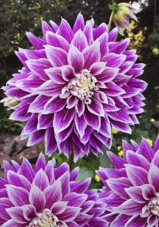 f9c27da4-5fd5-11ed-bd4c-001e673ebdea-2