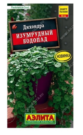 33364ded-f805-11ea-b984-005056c00008-1