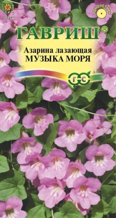 71360141-e82a-11ea-86cc-005056c00008-1