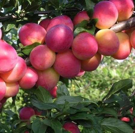 158e59b2-f121-11f0-8920-246e9611e8f7-1