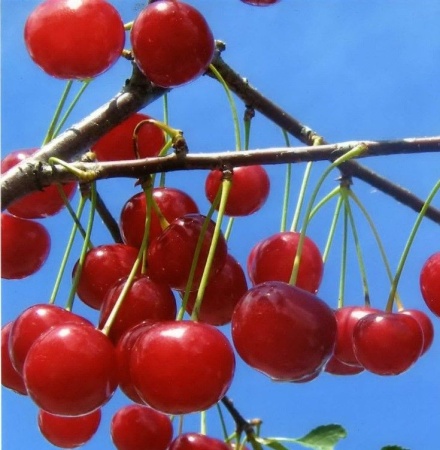 9a834861-be3a-11f0-891d-246e9611e8f7-1