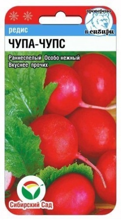 c2927789-efe1-11e9-95b5-005056c00008-1