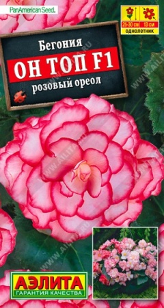 1b364f0a-f8c6-11ea-b984-005056c00008-2